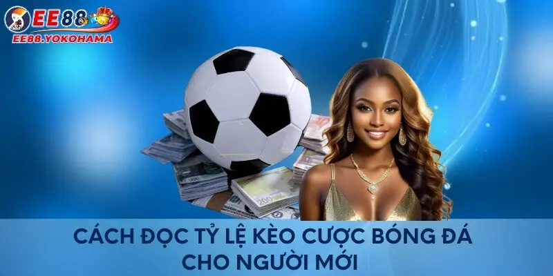 Cách đọc tỷ lệ kèo cược bóng đá cho người mới 